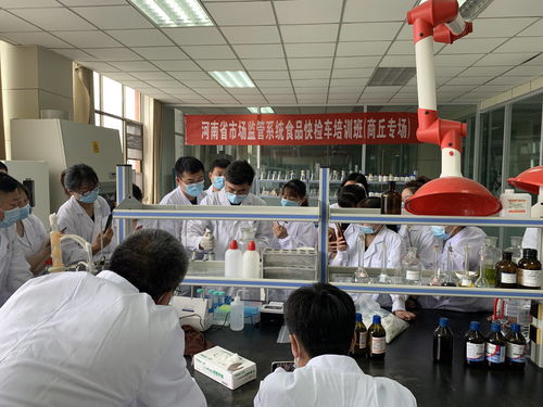 以快檢培訓為抓手 讓為民服務更高效