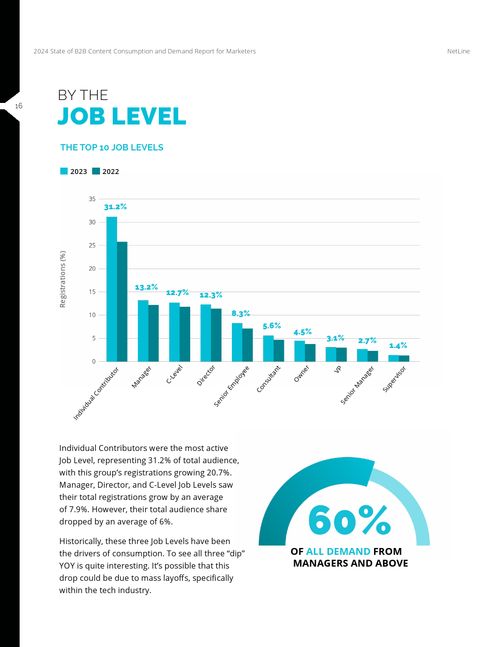 Netline 2024年B2B內(nèi)容使用與需求報告 數(shù)字文化創(chuàng)意內(nèi)容應(yīng)用服務(wù)的變革與機(jī)遇